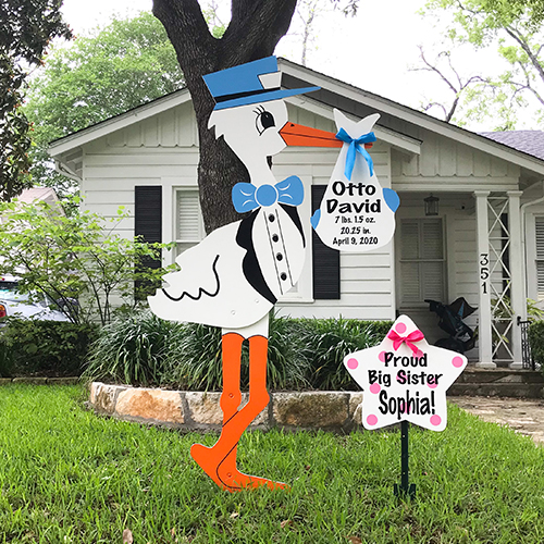 Blue Stork with Sibling Star, Metro Baton Rouge